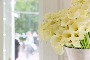 HMU Health and Medical University