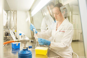 Vertiefe die gelernte Theorie in nur wenigen Präsenzphasen.