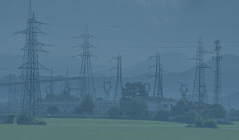 Mehrere Leitungsmasten auf einer Wiese.