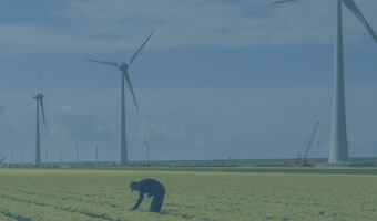 Windräder hinter einem Rapsfeld.
